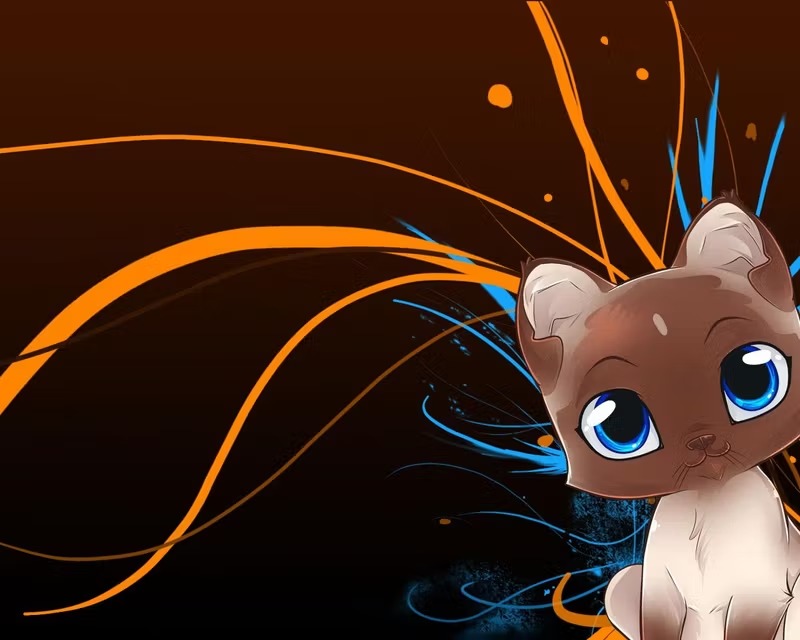 Cat Matching Pfp