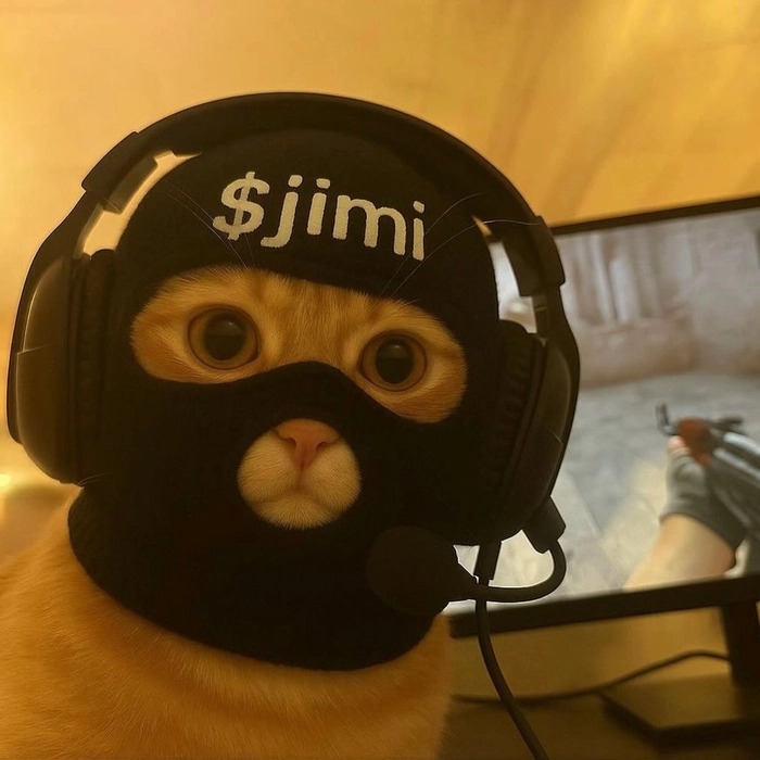 Cat Profile Picture