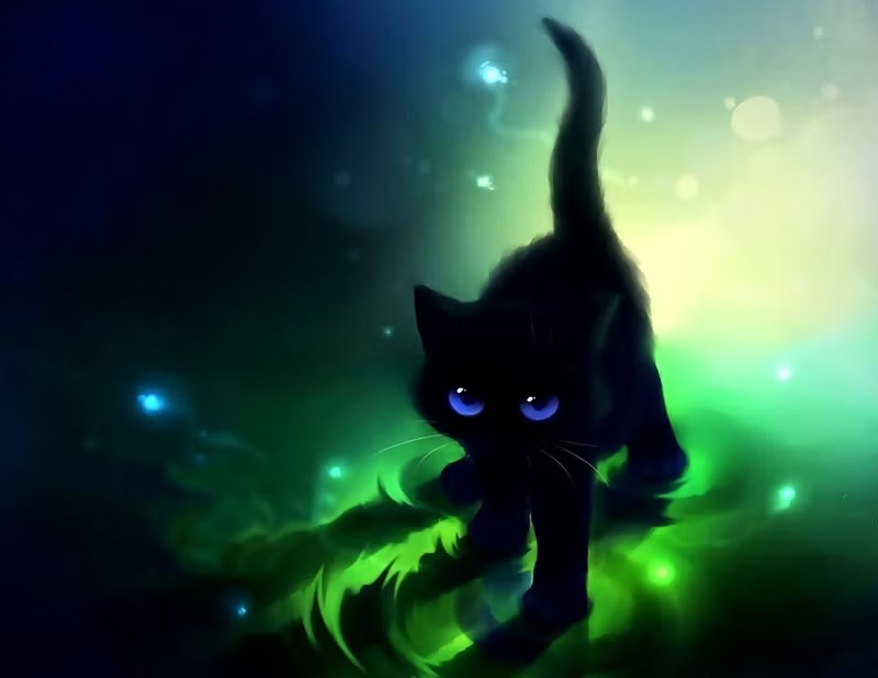 Cat With Glasses Pfp