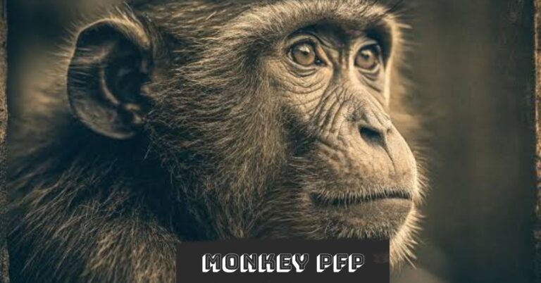 Monkey PFP