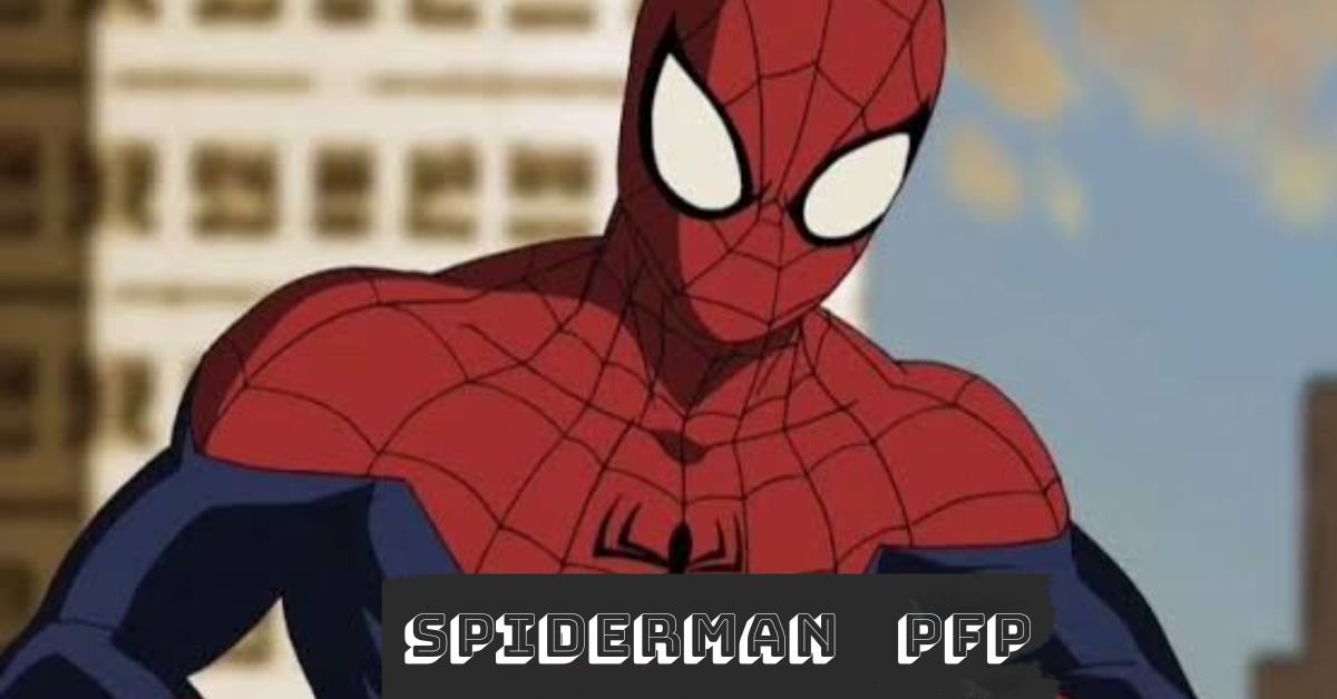 Spiderman PFP
