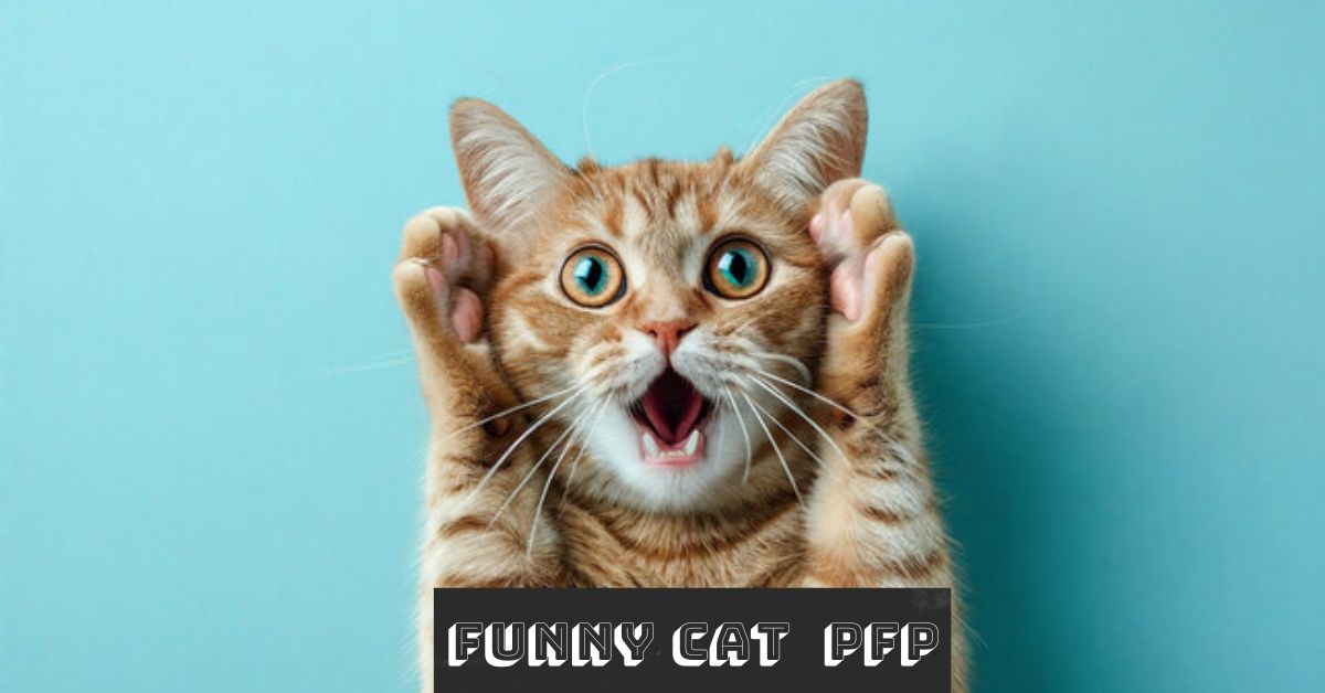 Funny Cat PFP