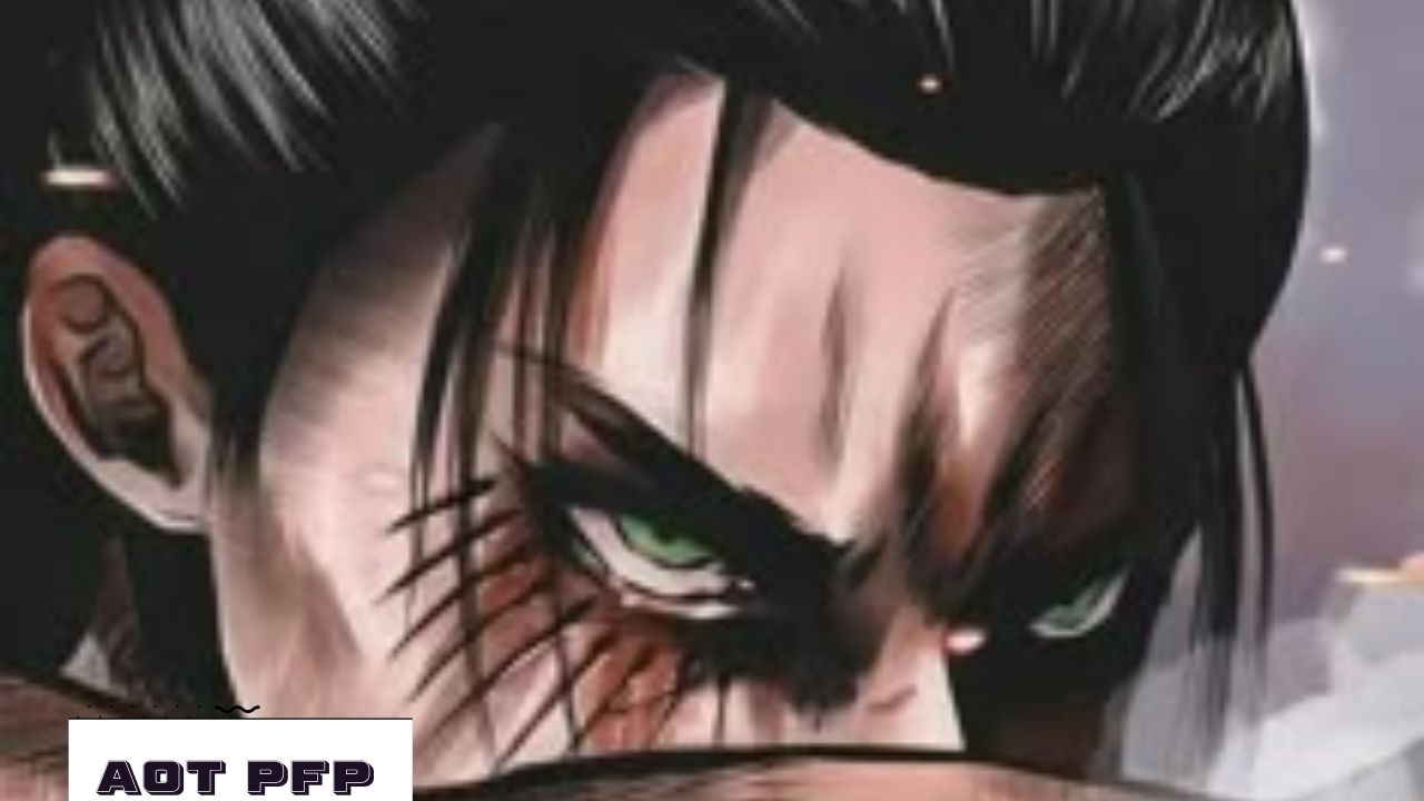 Aot PFP