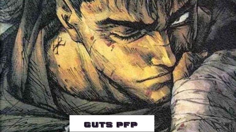 Guts PFP
