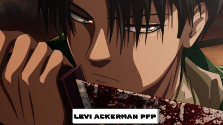 Levi Ackerman PFP 