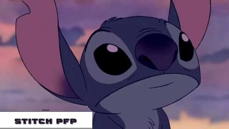 Stitch PFP