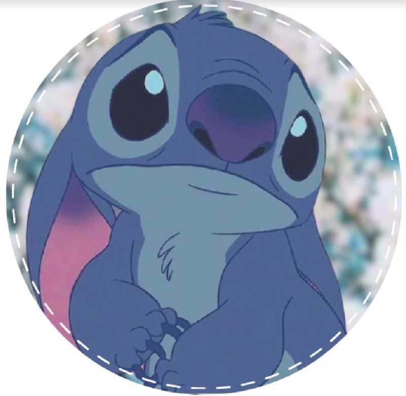 Stitch Profile Picturer